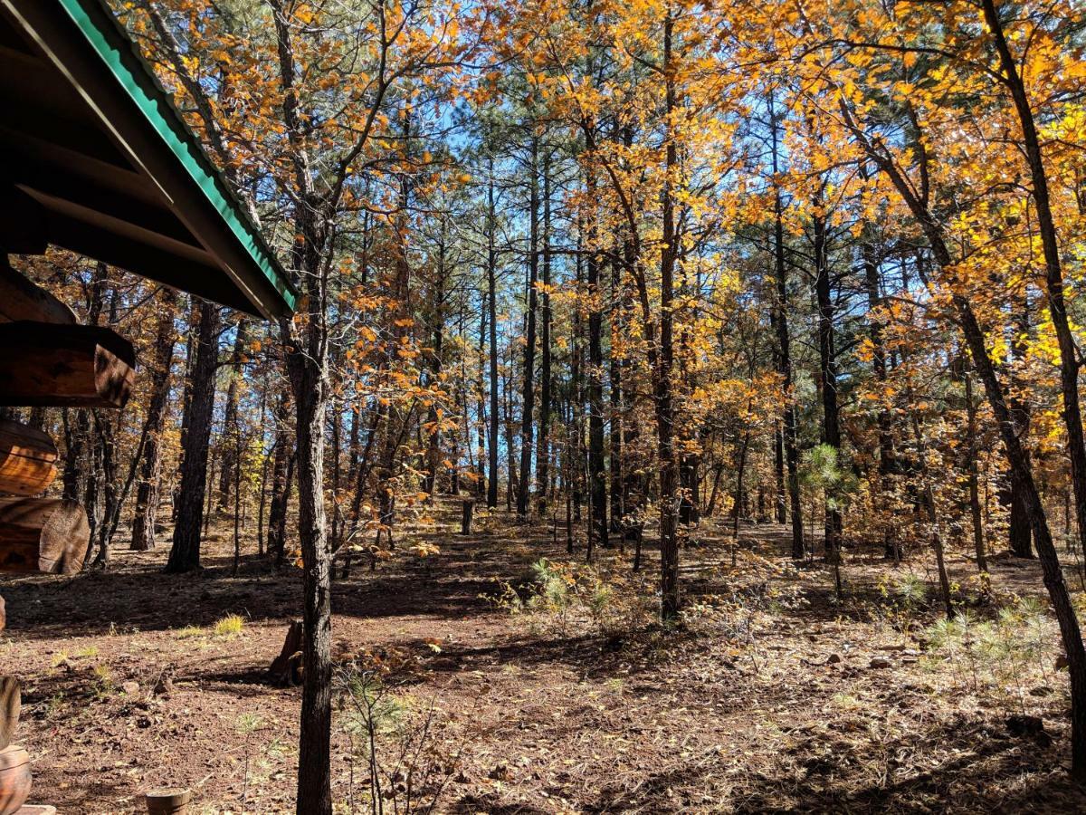 Cozy Cub Log Cabin - Year Round Tranquil Beauty Pinetop-Lakeside Exteriér fotografie