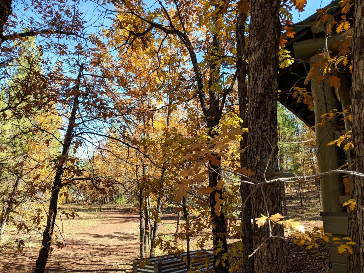 Cozy Cub Log Cabin - Year Round Tranquil Beauty Pinetop-Lakeside Exteriér fotografie