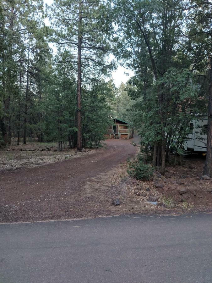 Cozy Cub Log Cabin - Year Round Tranquil Beauty Pinetop-Lakeside Exteriér fotografie