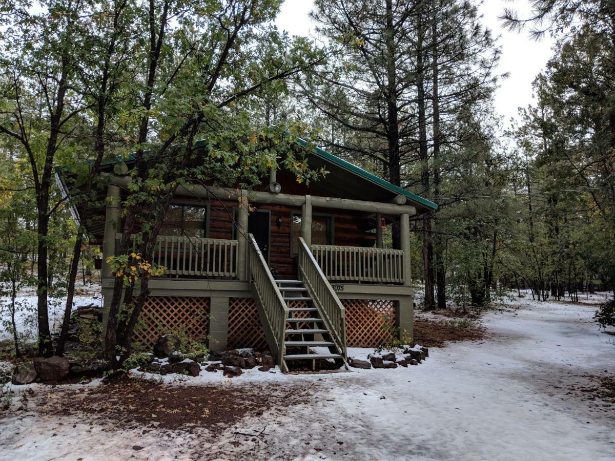 Cozy Cub Log Cabin - Year Round Tranquil Beauty Pinetop-Lakeside Exteriér fotografie