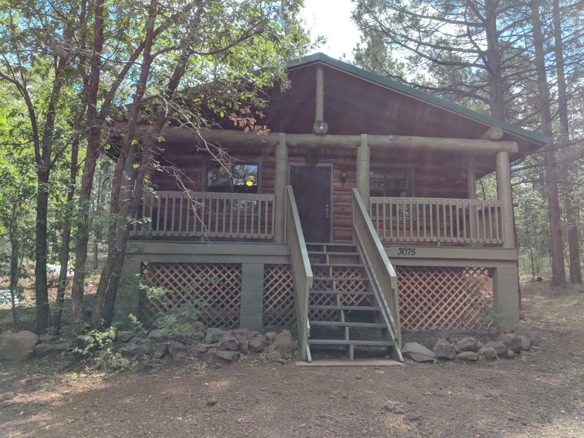 Cozy Cub Log Cabin - Year Round Tranquil Beauty Pinetop-Lakeside Exteriér fotografie